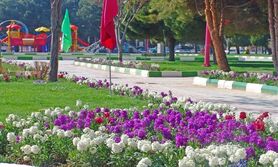 کاشت صد هزار گونه گل در بوستان های شاهین شهر