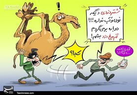 کاریکاتور/ شتر دزد، تخم‌مرغ دزد می‌شود!!!
