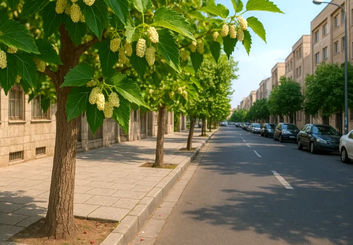 توت‌های شهری، ناقل خاموش سرب و باکتری‌های مرگبار به سفره شهروندان