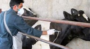  کنترل شده اما نیازمند مراقبت جدی