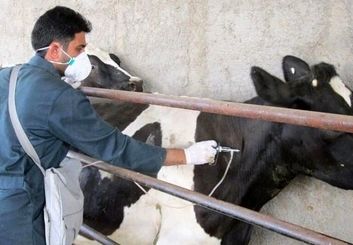  کنترل شده اما نیازمند مراقبت جدی