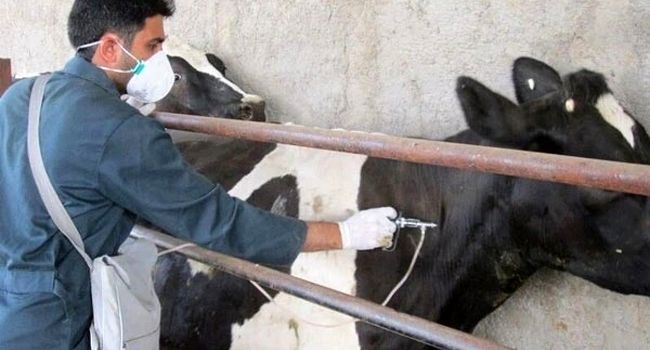  کنترل شده اما نیازمند مراقبت جدی