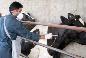  کنترل شده اما نیازمند مراقبت جدی