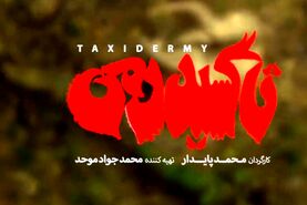  فیلم تاکسیدرمی ایرانی با بازی مجید صالحی و آناهیتا درگاهی