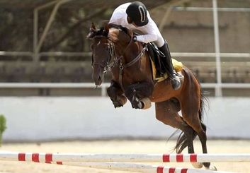 تکیه قهرمانان بر سکوی افتخار؛ پرونده مسابقات پرش با اسب قهرمانی استان اصفهان بسته شد