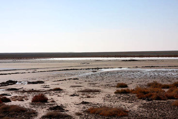 همزیستی افسانه و طبیعت