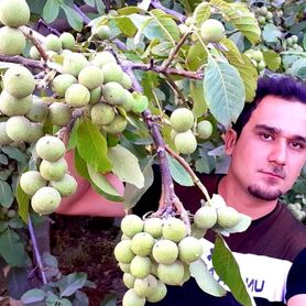 درآمد میلیاردی با احداث باغ مدرن در اصفهان