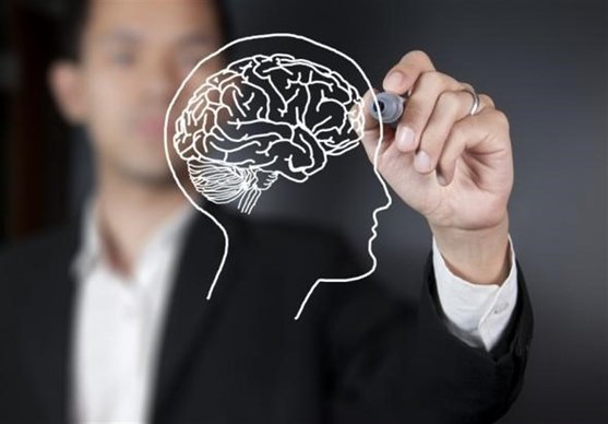 در باب اهمیت پرت‌کردن حواس از تلخی‌ها