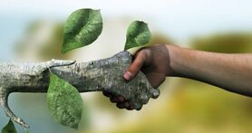 ما چیزی از محیط‌زیست نمی‌دانیم