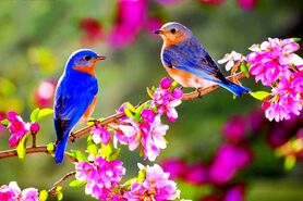 صدای پای بهار با همه خوشی‌ها و ناخوشی‌ها