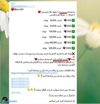 حقوق 5 میلیون تومانی برای یک شغل عجیب در فضای مجازی