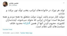 رضایی: محروم‌کردن نوزادان ایرانی از یارانه خلاف سیاست‌های کلی نظام است