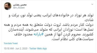 رضایی: محروم‌کردن نوزادان ایرانی از یارانه خلاف سیاست‌های کلی نظام است