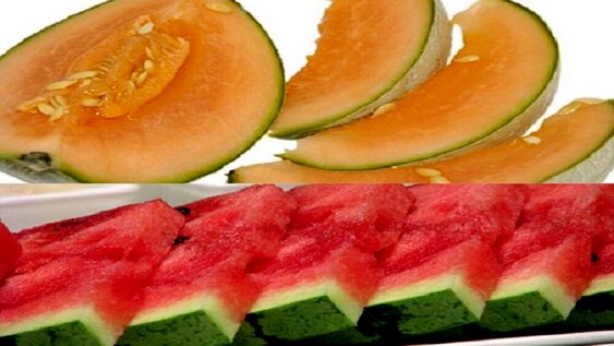 افرادی که مشکل کلیه دارند خوردن این میوه را فراموش نکنند