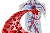 شایع‌ ترین نوع کم‌ خونی کدام است؟