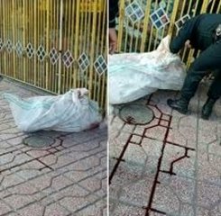 کشف جسد مرد پژوسوار در کیسه گونی! + عکس