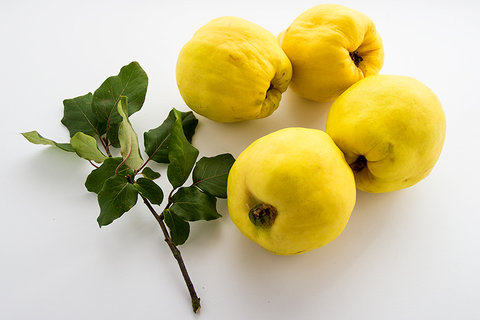 خواص شگفت‌انگیز به؛ از رفع وسواس تا درمان سرفه