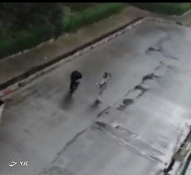 حاشیه‌های فضای مجازی در پی یک تیراندازی/ حقیقت ماجرا چه بود؟