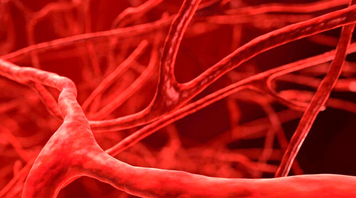 چگونه گردش خون خود را بهبود بخشیم؟