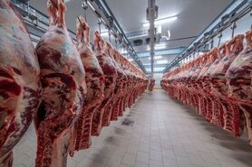 قیمت گوشت برای مصرف کننده نباید از ۱۲۰ هزار تومان بیشتر باشد
