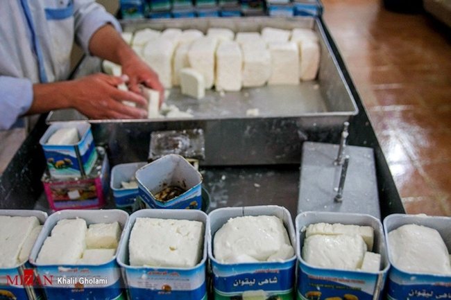 ۱۰ قلم محصول لبنی بدون افزایش قیمت