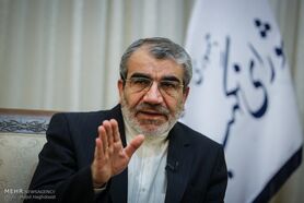 کدخدایی: عده‌ای شورای نگهبان را تهدید می‌کنند تا خوش باشند