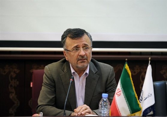 داورزنی: انتظارم از مجموعه دولت این است که یک‌سری حداقل‌ها را اجرایی کنند