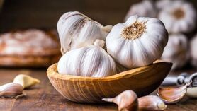 سیر حاوی چه موادی است؟