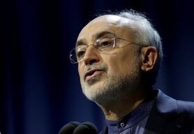 حمایت اصلاح‌طلبان از صالحی دور از ذهن نیست