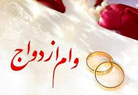 نیکزاد: نیازی نیست ضامن متقاضیان کارمند باشد