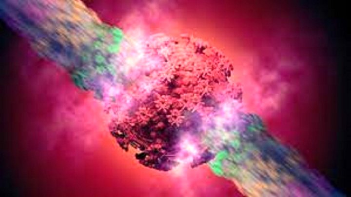 آنچه باید درباره نوع دلتا ویروس کرونا بدانیم