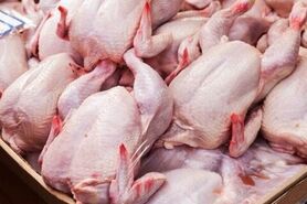 دولت بازار مرغ را رها کرده است