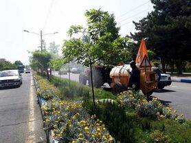 روند سمپاشی درختان شهر اصفهان