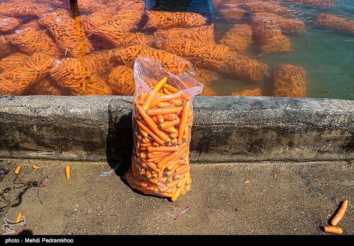 افزایش افسارگسیخته قیمت هویج در کاشان/آیا پای دلالان در میان است؟
