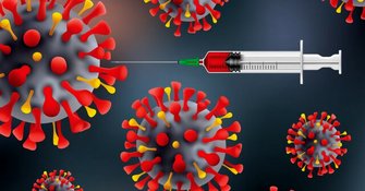 «قارچ سیاه» چقدر خطرناک است؟