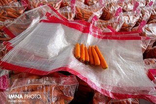 هویج ارزان شد