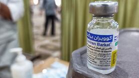 عوارض حاد و منجر به فوت ناشی از تزریق واکسن برکت نداشتیم