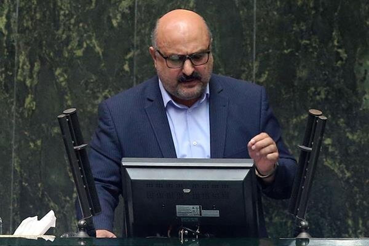 محمد نژاد: نمی‌توان عموم جامعه را پرمصرف تلقی کرد/ افزایش قیمت باید مختص پرمصرف‌ها باشد