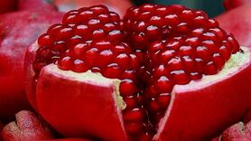 میوه‌ای که سرشار از فایده است