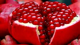 میوه‌ای که سرشار از فایده است