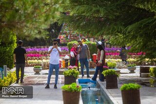 پاییز باغ گلها دیدنی است