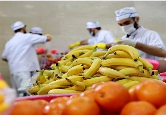 رابطه مستقیم موز با دلار!/ قیمت هر کارتن موز به حدود ۱۵ دلار رسید