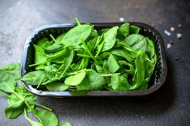 آموزش چگونگی کاشت و پرورش اسفناج