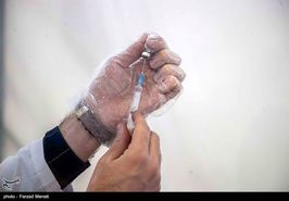 واردات داروی قارچ سیاه ۱۶ برابر شد/ تداوم تامین واکسن کرونا تا ۲۰۰ میلیون دوز