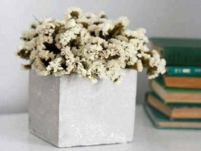 با چند مرحله به راحتی گل ها را خشک کنید