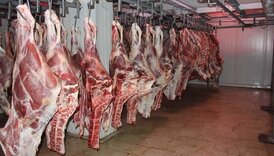 ثبات قیمت گوشت قرمز در یک ماه گذشته