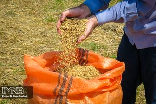 از افزایش هزینه‌های تولید تا ارز نیمایی