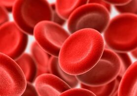 ۴۰ درصد زنان باردار کم‌خونی دارند/ توصیه‌هایی برای پیشگیری از فقر آهن
