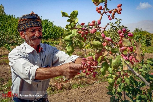 آیا پوشش بیمه‌ سلامت روستاییان و عشایر افزایش می‌یابد؟