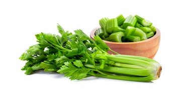 کاشت و پرورش کرفس